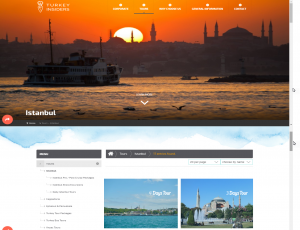 Turkey Insiders Özel Web Yazılımı, Web Tasarım